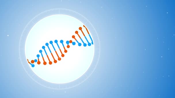 Molécule d'ADN bleu-orange tournante. Situé sur la gauche. Vue futuriste du microscope. Fond numérique bleu. Concept génétique. Concept de médecine ou de science. Images 4K
 - Séquence, vidéo