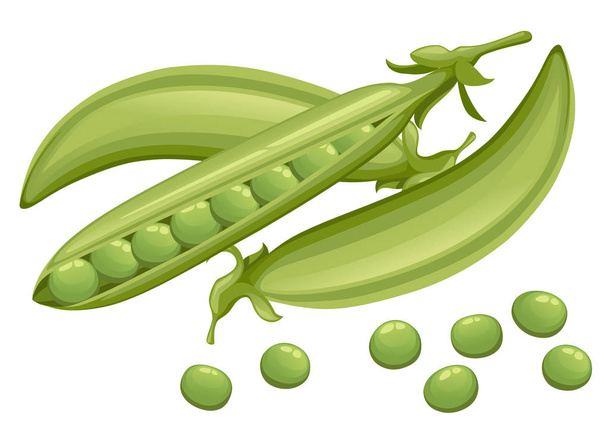 Green peas. Pods of green peas with leaves. Set with whole and open peas in pods. Flat vector illustration isolated on white background. Cartoon style vegetable. - Vector, Image