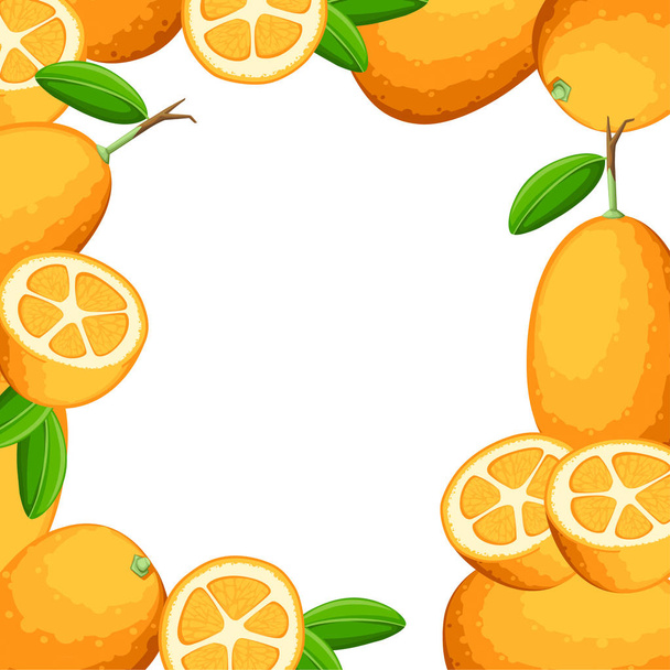 Colorful pattern. Exotic fruit kumquat with green leaves. Fresh fruit cartoon style. Flat vector illustration on white background. Whole and cut orange juice kumquat. - Vector, Image