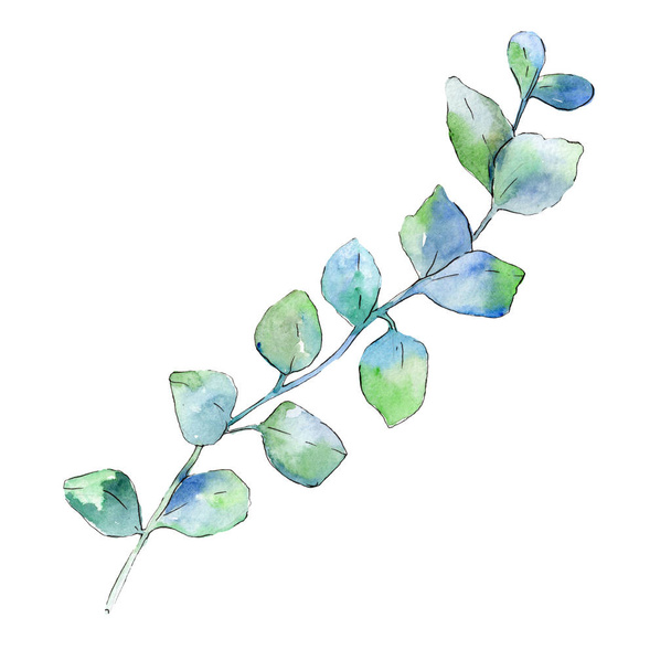 Branch with green leaves. Watercolor background illustration set. Isolated branch illustration element. - Foto, Imagem