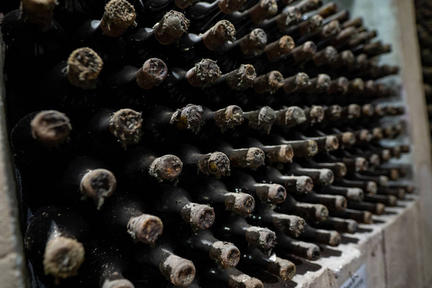 Regál plný lahví vína stárnutí ve vinném sklepě - Fotografie, Obrázek