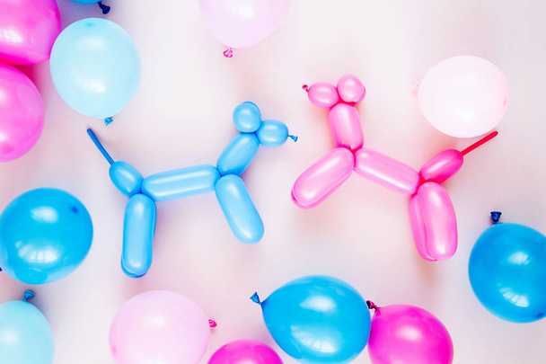 Colorful balloons on pastel color background, festive or birthday party concept - Φωτογραφία, εικόνα