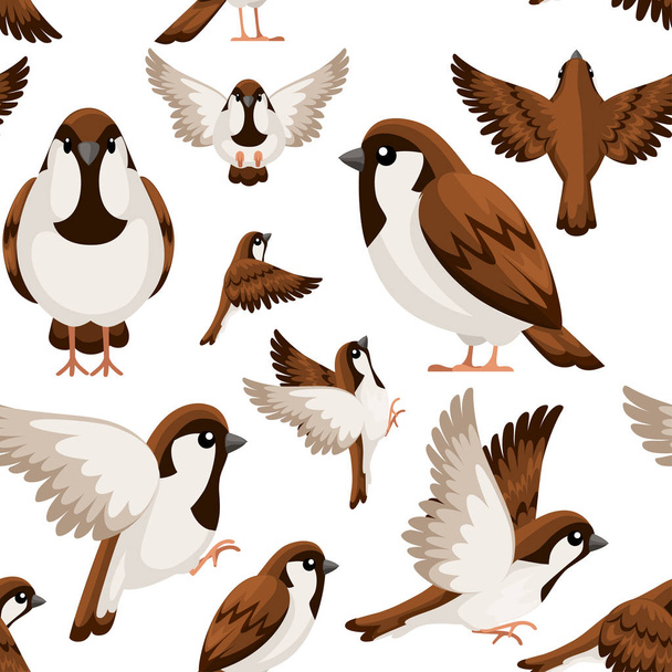 Folytonos mintázat. Színes Icon készlet Sparrow madár. Flat rajzfilmfigura design. Bird ikonra a nézet különböző oldalában. Aranyos Veréb a világ Veréb nap. Vektorillusztráció fehér háttérrel. - Vektor, kép