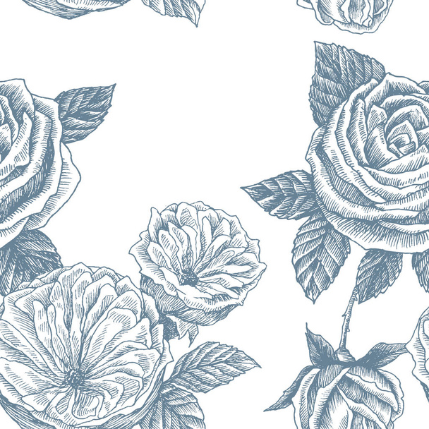Wild roses blossom branch seamless pattern. Vintage botanical hand drawn illustration. Spring flowers of garden rose, dog rose. Vector design. Can use for greeting cards, wedding invitations, patterns - Wektor, obraz
