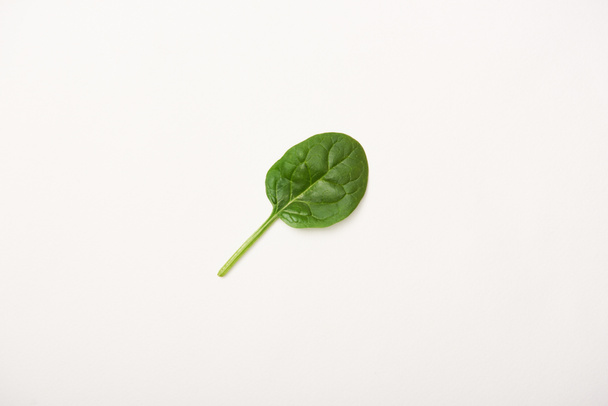 Studio shot of spinach leaf isolated on white - Photo, Image