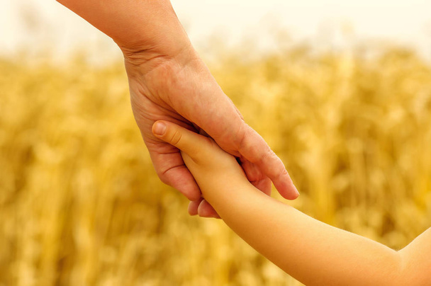 Handen van moeder en dochter houden elkaar op veld - Foto, afbeelding