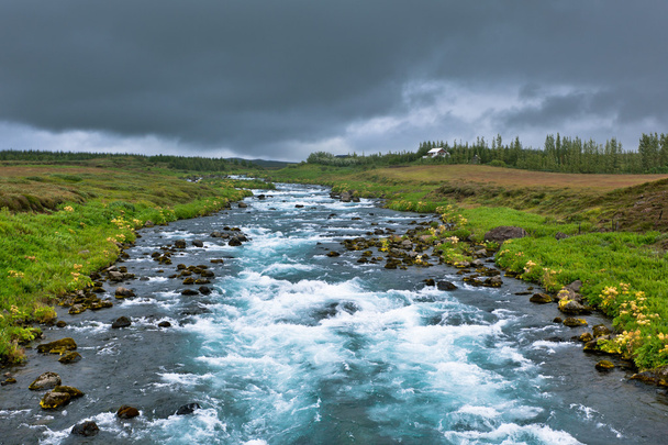 Verano Islandia Paisaje con río Raging
 - Foto, imagen