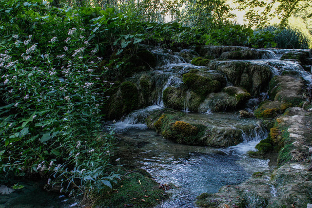 Główną atrakcję naturalne Chorwacja jest Jezior Plitwickich z kaskadami wodospadów. Szmaragdowa woda zimny na tle skał, roślin i drzew. - Zdjęcie, obraz