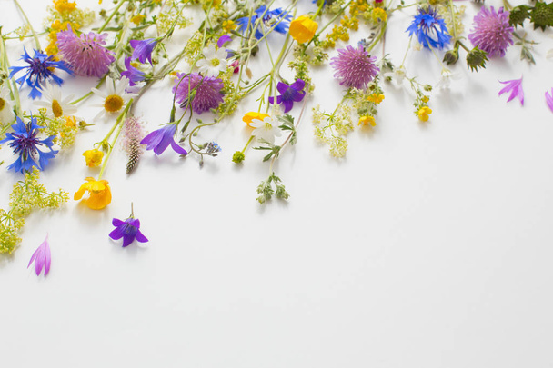 summer flowers on white paper background - Φωτογραφία, εικόνα