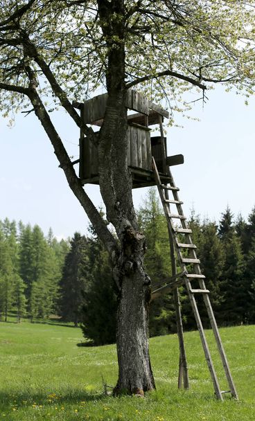 hölzerne Jagdhütte auf dem großen Kirschbaum - Foto, Bild