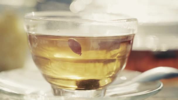 Hot fruity drink in the cup is steaming - Imágenes, Vídeo