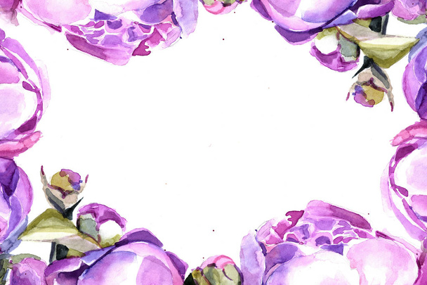 peonie acquerello. sfondo telaio fiori
 - Foto, immagini