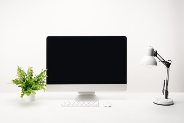 workplace with lamp, green plant and desktop computer with copy space isolated on white - Photo, Image