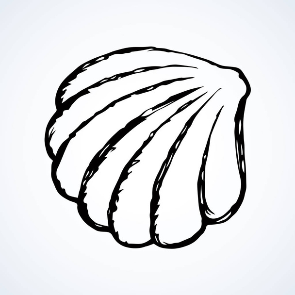 Light nacre scallop snail isolated on white backdrop. Freehand outline blue ink hand drawn picture sketchy in art scribble retro style pen on paper. Close up view with space for text - Vector, Image