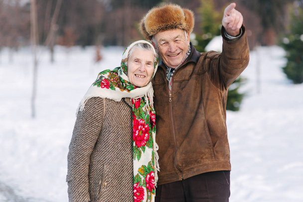 Couple de personnes âgées se détendre en hiver dans le parc. Heureux grand-père et grand-mère marchant ensemble
 - Photo, image