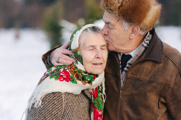 Portrait of senior couple. Elderly man kiss his wife in weighty. old couple walkink in the park in winter time. Happy family. Gold wedding - Photo, Image