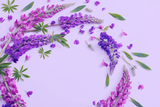 lupine flowers on violet background - Photo, Image