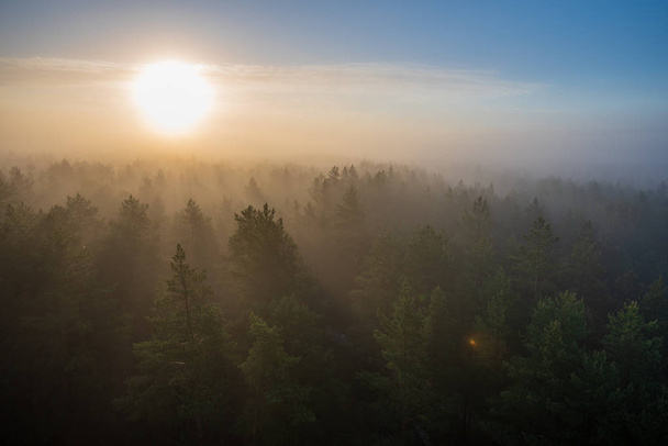sun rising in mist covered forest. sun rays in fog with low visibility - Фото, зображення