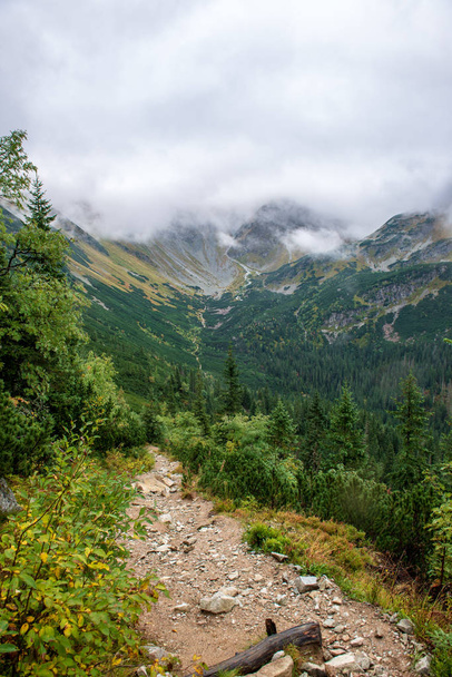 Wandern über Wolken in der slowakischen Tatra. Markierte Wanderwege mit Felsen im nebligen Herbstmorgen - Foto, Bild