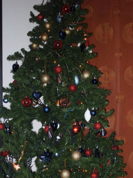 ライト、装飾品で飾られたクリスマス ツリー  - 写真・画像