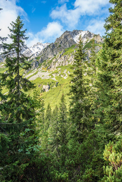 Slovakian tatra mountains in summer. green slopes with mountain peaks covered in snow. sunny day. - Photo, image