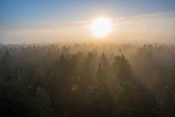 sun rising in mist covered forest. sun rays in fog with low visibility - Foto, Imagem