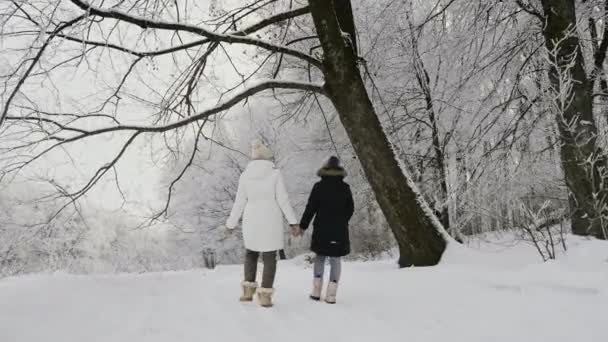 Back view Happy family walking along the snowy road in the fresh frosty air in the highlands. Mom and daughter go in the snowy forest holding hands in winter. Steadicam slow motion video - Footage, Video