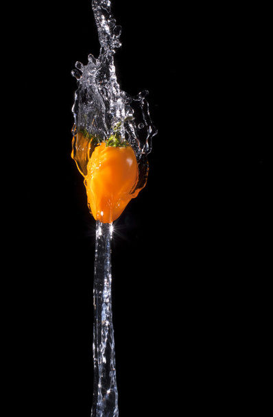 Splashing Peppers - Photo, Image