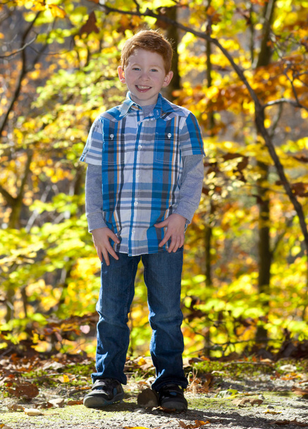 Joven niño feliz frente a los árboles de otoño
 - Foto, imagen