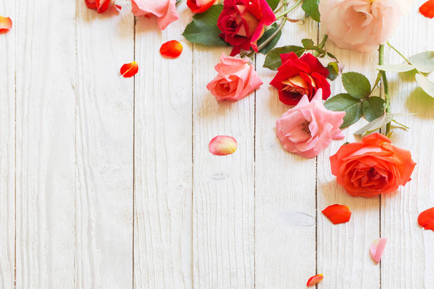 roses on white wooden background - 写真・画像