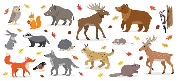 フォレスト森の動物の分離ベクトル図の大きなセット - ベクター画像