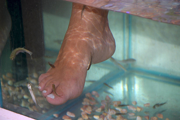 Young woman receiving massage with small fishes. Peeling with fish. Girl enjoying medicinal procedure. Foot massage with fish in aquarium closeup. Fish spa procedure. Female foot during peeling - Photo, Image