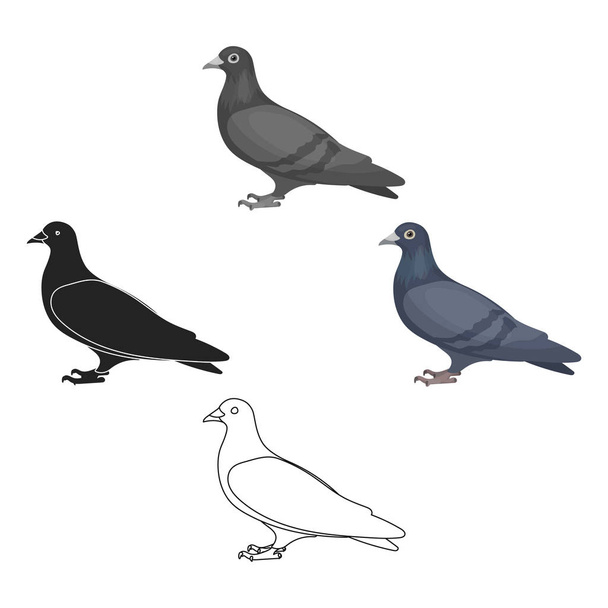 Pigeon icon in cartoon style isolated on white background. Bird symbol stock vector illustration. - Вектор,изображение