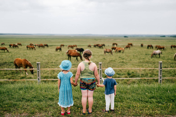 back view of girls and boy looking at with horses in field - Foto, Bild