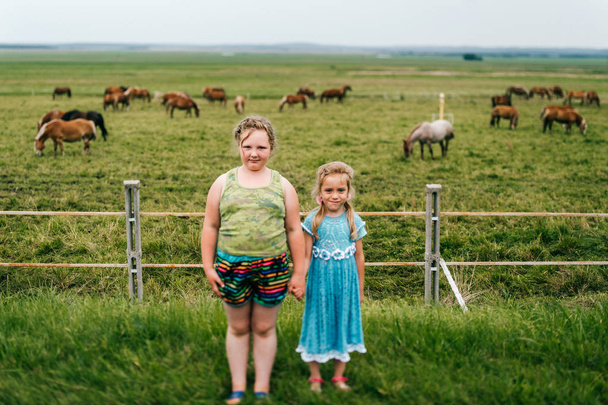 sisters near grazing horses field on summer day - Photo, Image