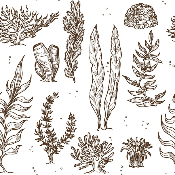 Underwater plants seaweed and corals monochrome seamless pattern  - Vektor, kép