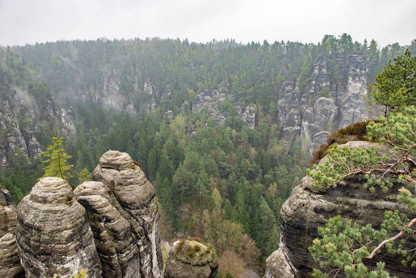 Bastei Dresden Germany.Park Saxon Switzerland.The cliffs are located not far from Rathen near the town of Pirne in the south-east of Dresden.The rocks in the fog.Beautiful landscape.Mountains travel. - Foto, imagen