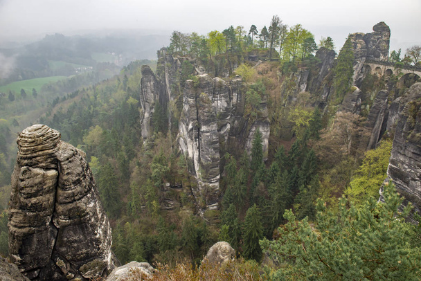 バスタイ ドレスデン Germany.Park ザクセン スイスの崖は、霧の中で当岩の南東部の Pirne の町の近く Rathen から遠くない位置しています。美しい風景です。山旅行. - 写真・画像