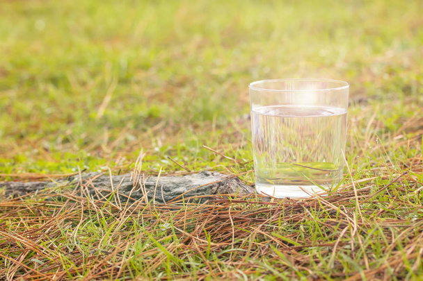 Czysta woda z przezroczystego szkła na trawie w lesie obok kłącze drzewa w słoneczny dzień. Zdrowo i ekologicznie czystej naturalnej wody od wiosny - Zdjęcie, obraz
