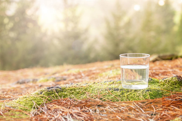 Clear water in a clear glass on the background of spruce and moss in pine needles in the coniferous forest. Healthy food and ecologically pure natural water from a forest magical spring - Fotó, kép