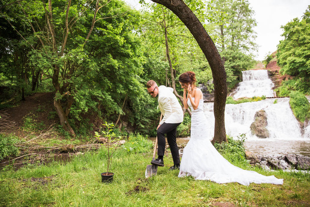 Happy newlyweds planting a tree near the waterfall - Foto, Imagem