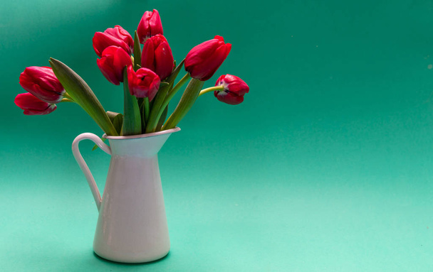 Primavera, concetto pasquale. Tulipani rossi in un vaso bianco, sfondo verde, spazio di copia
 - Foto, immagini
