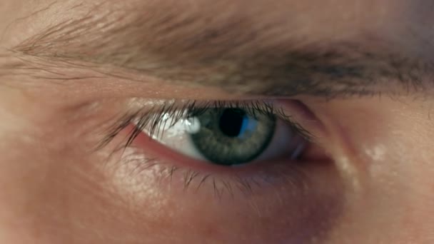 ekstremalnych bliska oko człowieka działa na laptopie w nocy - Materiał filmowy, wideo