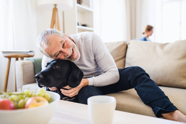 A happy senior couple indoors with a pet dog at home. - Photo, image