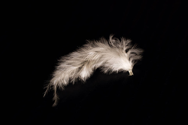 Белое маленькое перо на черном фоне с копировальным пространством
 - Фото, изображение