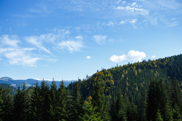Beautiful Carpathian mountains in autumn season - Foto, Imagem