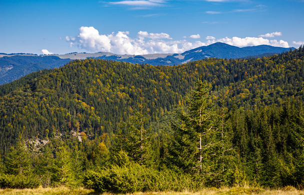 Beautiful Carpathian mountains in autumn season - Fotoğraf, Görsel
