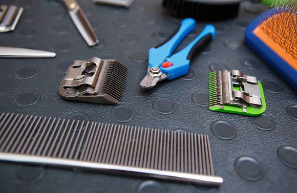 Professional nail clippers in vet clinic.Pet groomer tools for clipping nails, comb and shearer machine clips on table.Grooming salon instruments in close up - Valokuva, kuva