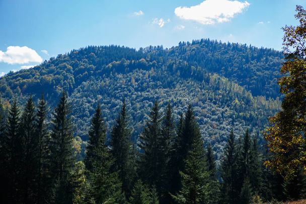 Beautiful Carpathian mountains in autumn season - Foto, afbeelding