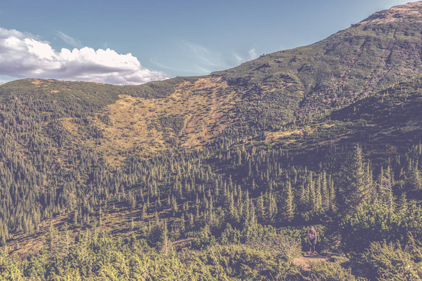 Prachtige berglandschap in het najaar. Instagram vintage film filter - Foto, afbeelding